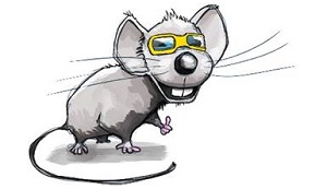 große graue Maus mit Link auf sis schüler